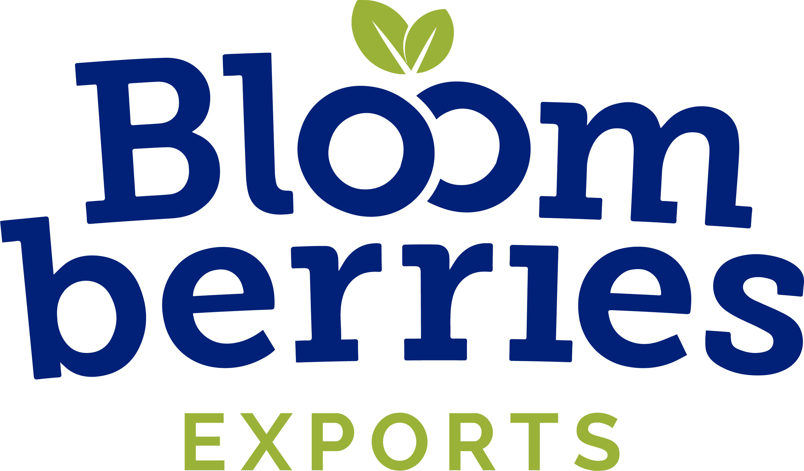 Bloomberries - Asesores romo